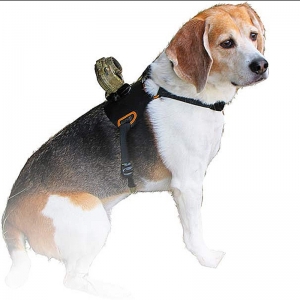 https://www.k9-k4.be/files/modules/products/1571/photos/product_xcel-dog-mount-1.jpg